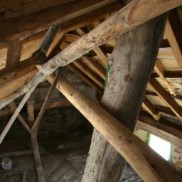 La charpente bois : techniques et savoir-faire du charpentier à Lys-lez-Lannoy